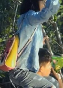 曾有你在的森林