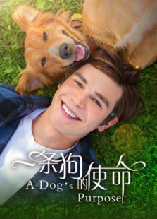 一条狗的使命